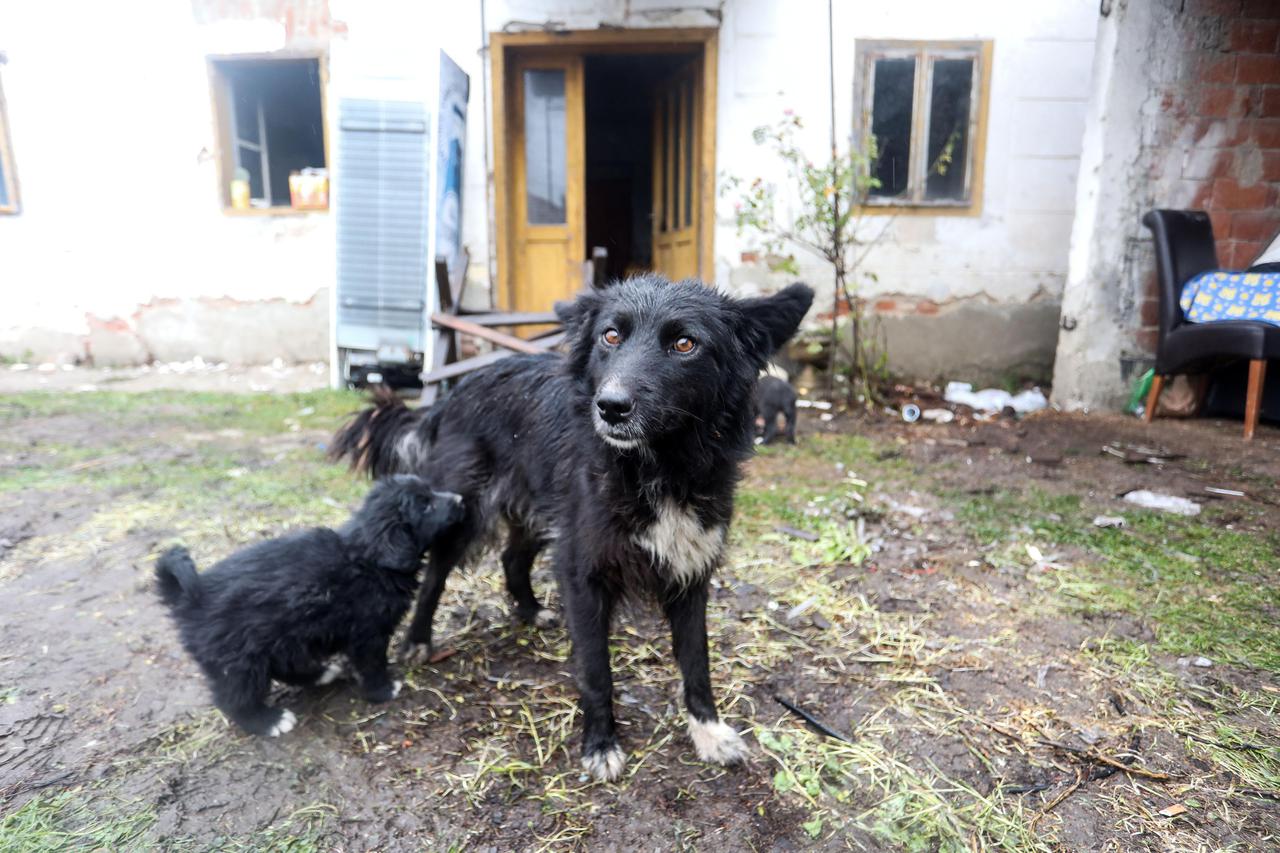 Nakon potresa Majskim Poljanama zbog dugotrajne kiše prijete poplave