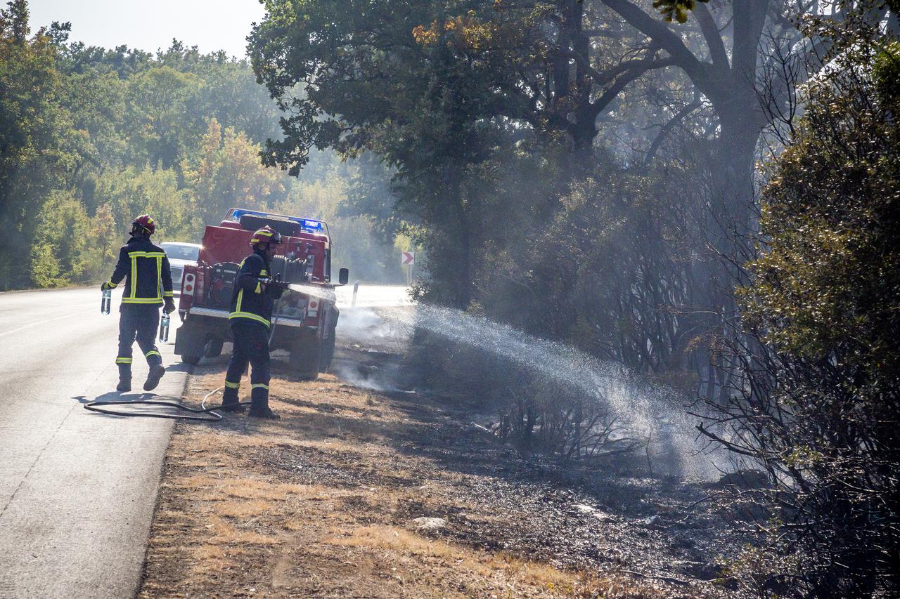 Bale: Požar koji je gorio na dva mjesta na udaljenosti jednog kilometra uspješno je lokaliziran