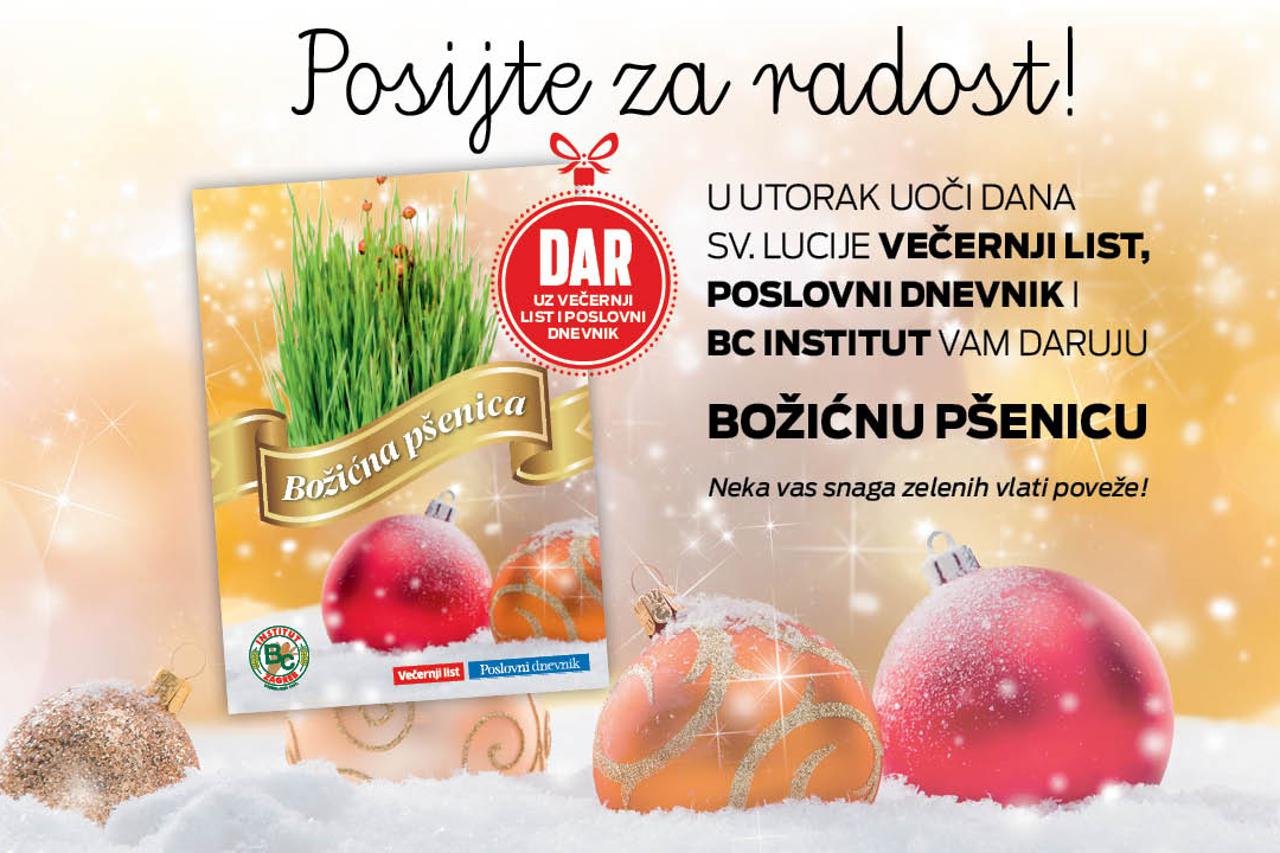 Darujemo božićnu pšenicu – posijte za radost i obilje!