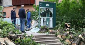 Problemi i tijekom noći: Drvo palo na javni WC u Zagrebu, stradalo i vozilo Hitne pomoći - Večernji.hr