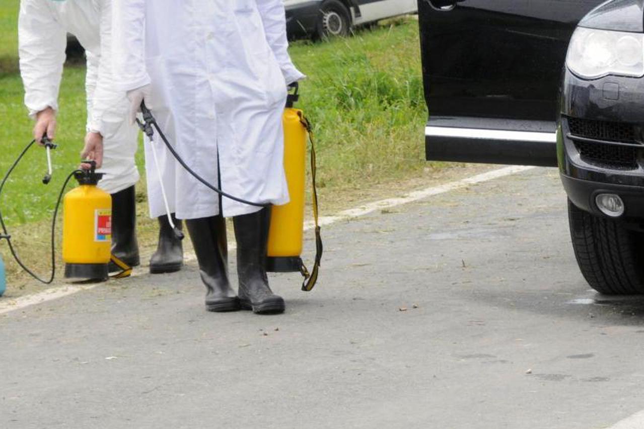 dezinsekcija