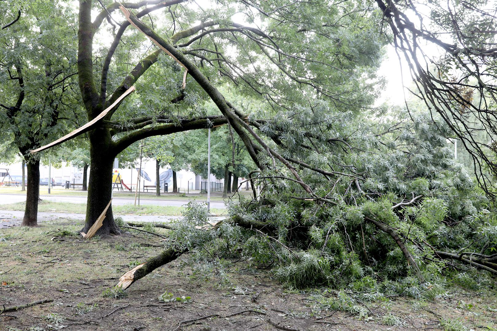 20.07.2023., Zagreb - Posljedice oluje koja je jucer poharala Zagreb i veliki dio Hrvatske i danas se vide na ulicam grada. Sve sluzbe nastavljaju raditi na rasciscavanju. Photo: Patrik Macek/PIXSELL