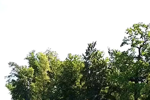Hrvatski športski muzej emitirao je uživo.