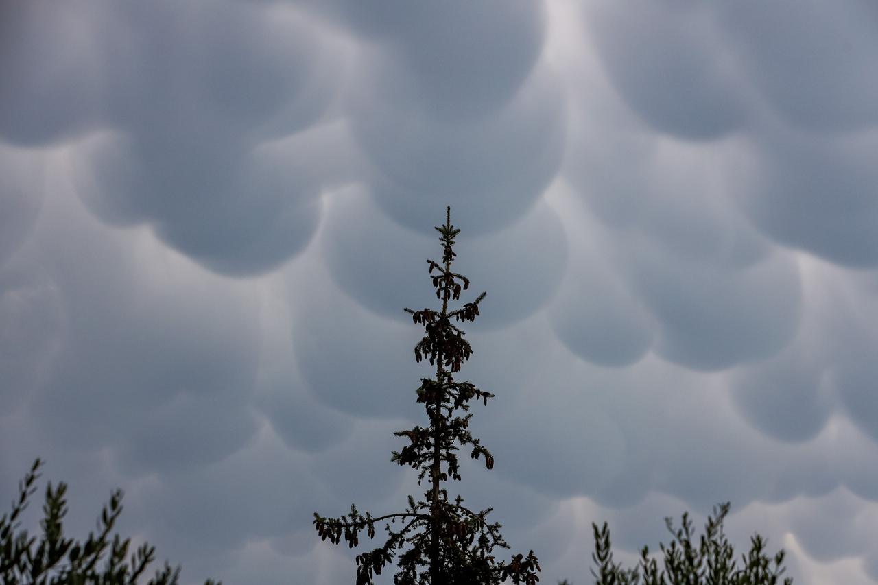 Mammatus oblaci nad Zadrom