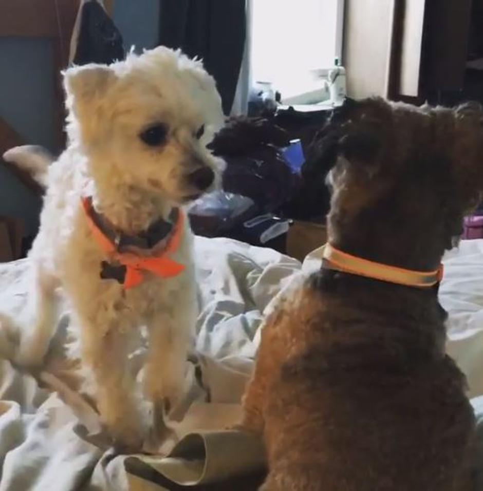 Diane Neal i JB Benn