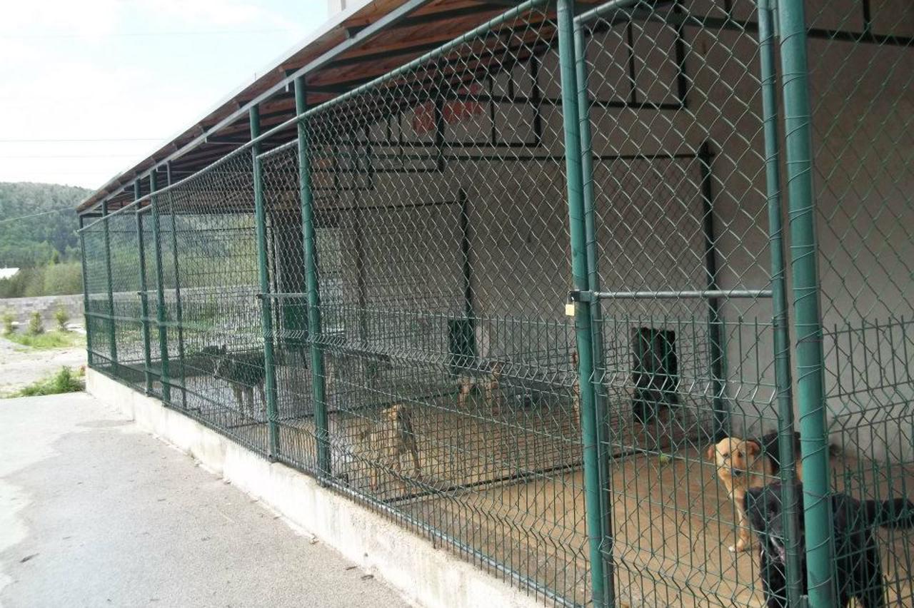 sklonište Lič (1)