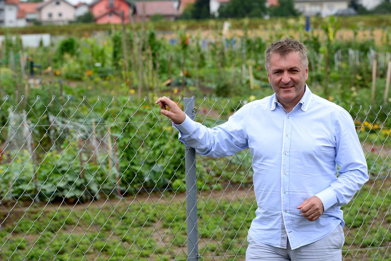 30.07.2015., Velika Gorica - Gradonacelnik Drazen Barisic u gradskom vrtu Velike gorice.  Photo: Marko Prpic/PIXSELL