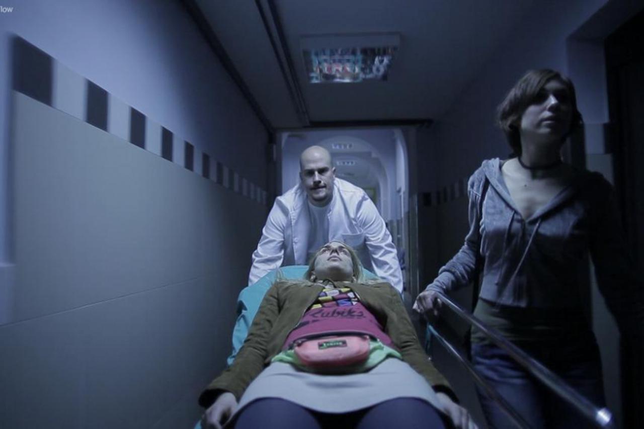 film, Fleke, gostovanje na FEST-u 