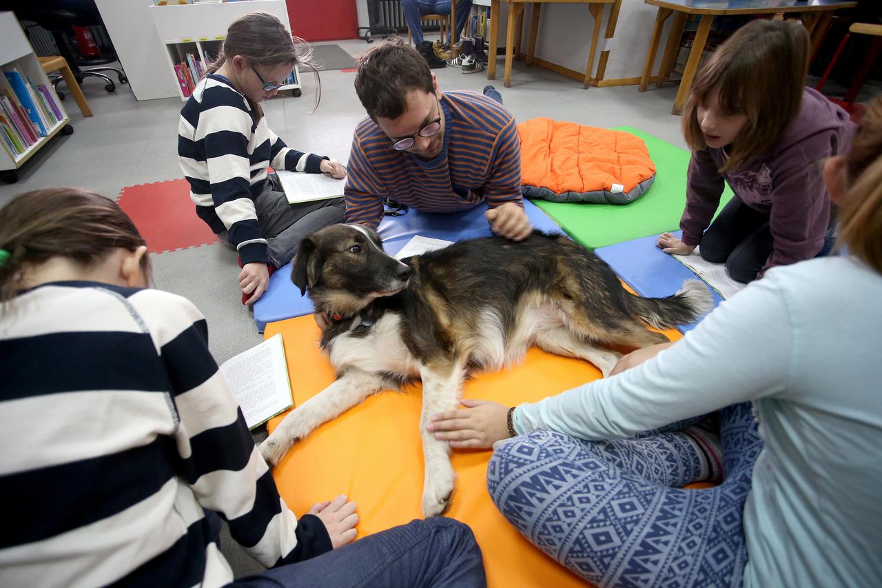 05.12.2016.,  Zagreb, Knjiznica Marin Drzic - Ucenici OS Grigor Vitez sudjeluju na radionici Citaj o psu. Photo: Igor Kralj/PIXSELL