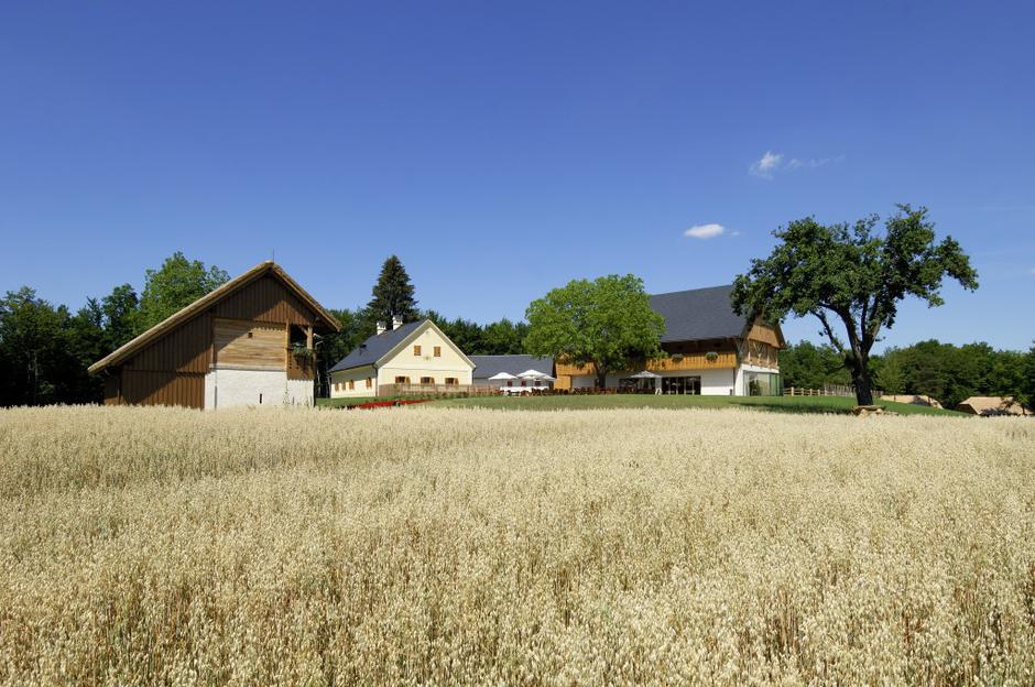 Konjički resort Pule