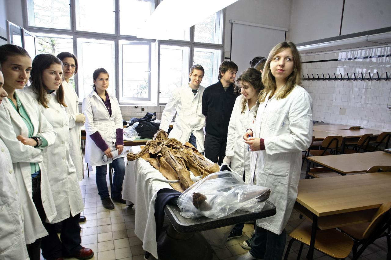 medicina