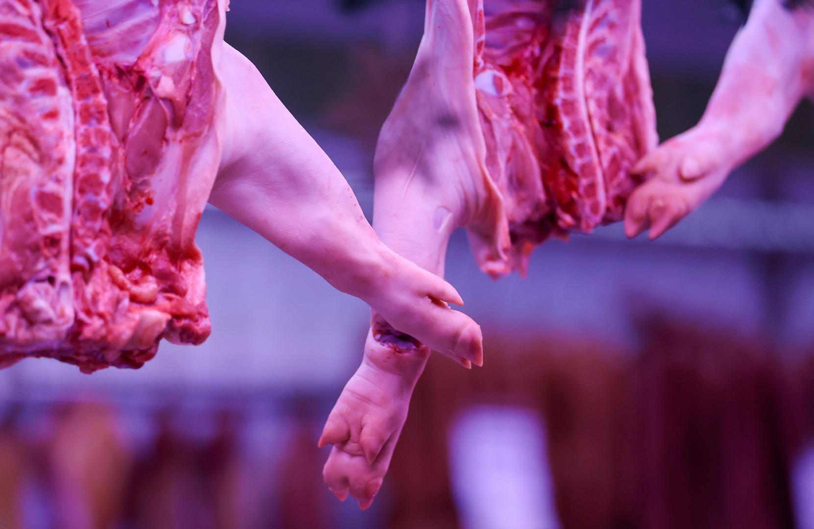 Uoči kraja godine na zagrebačkoj tržnici Dolac jutros su se stvorile velike gužve, a najviše za kupovinu odojka.