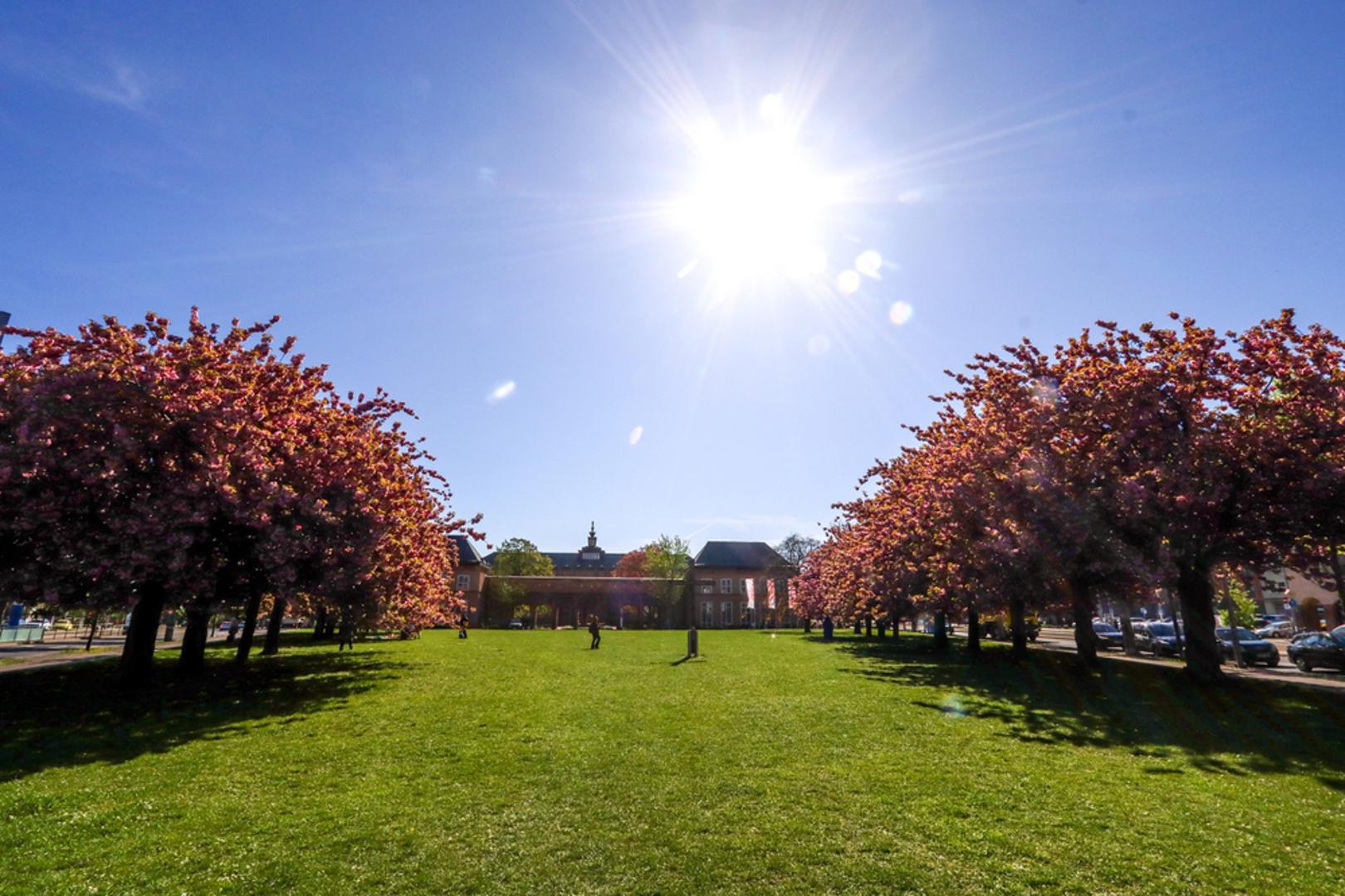 Muzej Grassi: Riječ je o muzejskom kompleksu podijeljenom na tri dijela. U njemu ćete pronaći Muzej glazbe, Etnografski muzej i Muzej primijene umjetnosti. Na ovom mjestu čekaju vas brojne izložbe različite tematike, s više od 230 tisuća izložbenih primjeraka koji prikazuju kako se umjetnost razvijala od antike do danas.