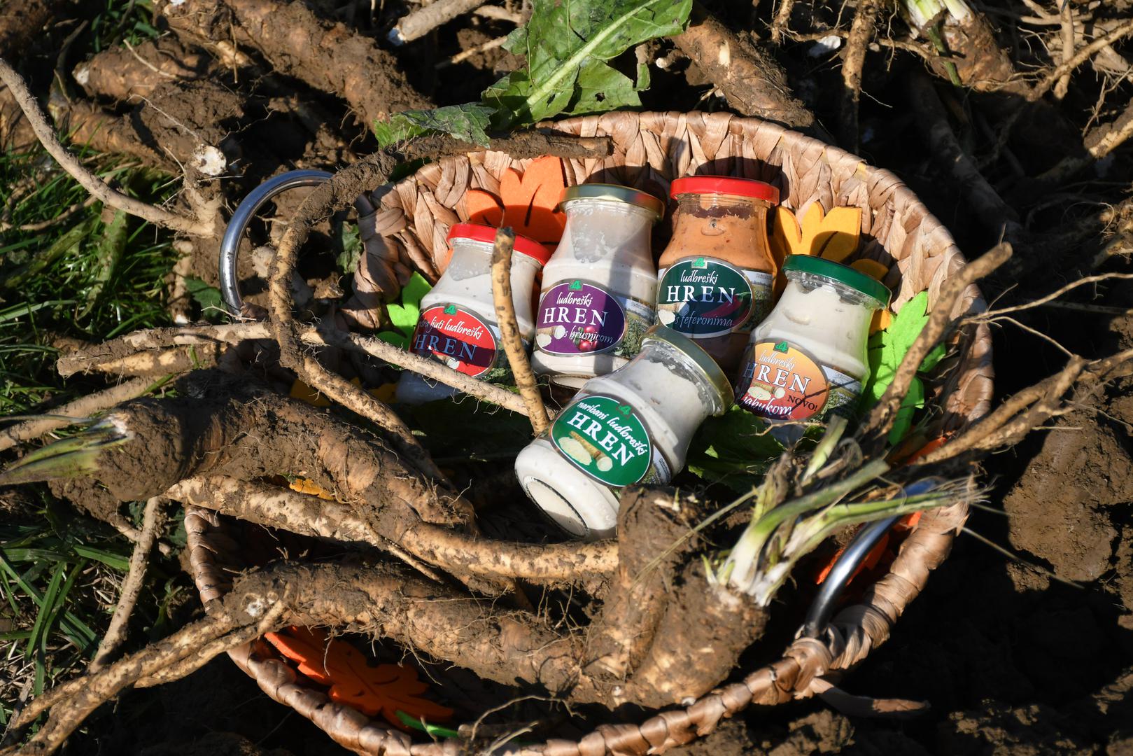 Europska komisija ovaj tjedan objavila da je ludbreški hren postao proizvod s europskom zaštićenom oznakom zemljopisnog podrijetla. Time je ovom prepoznatljivom hrvatskom proizvodu osiguran upis u registar zaštićenih oznaka izvornosti i zaštićenih oznaka zemljopisnog podrijetla te zaštita na području cijele Europske unije. 