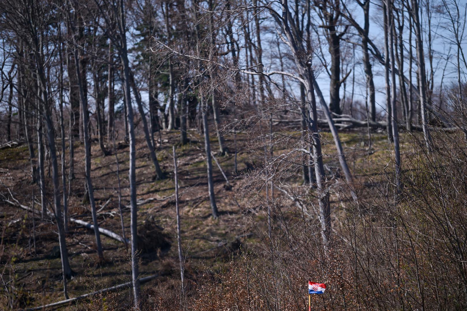 Fotografije pokazuju srušena stabla i oštećenja uz Sljemensku cestu.