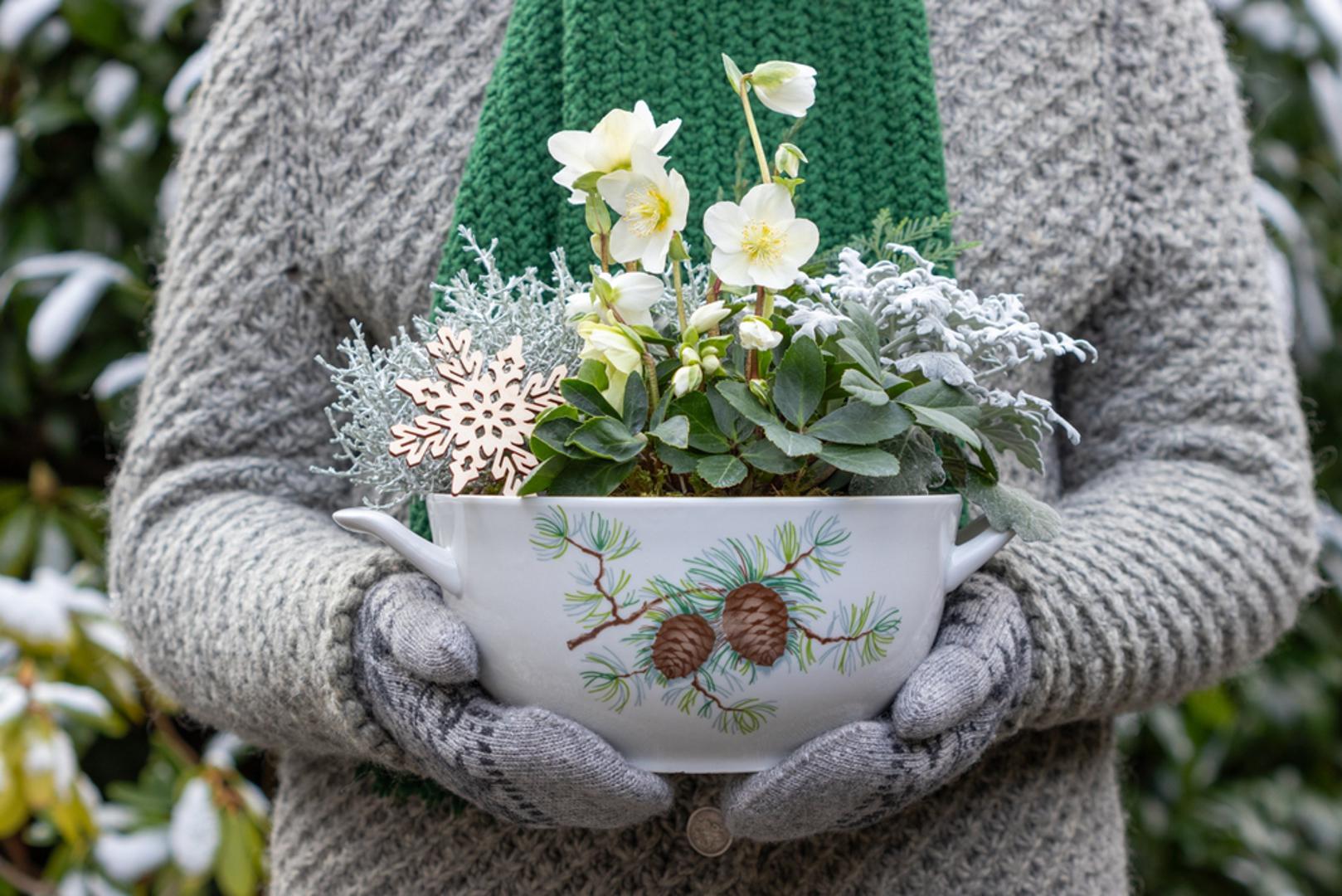 Iako je siječanj na prvi pogled prehladan za radove u vrtu, upravo je ovaj mjesec idealan za pripremu i sadnju određenog cvijeća. Rano sađenje omogućuje biljkama da se ukorijene prije nego što stigne toplije vrijeme, pa će vaš vrt tijekom ljeta biti prepun boja i cvjetova. Sjeme cvijeća kojem je potrebno dulje vrijeme klijanja ili rasta bolje uspijeva kada se rano posadi u zatvorenom prostoru.  Topla rasvjeta, konstantna vlaga i blaga toplina potiču rast malih klica dok su vani niske temperature.