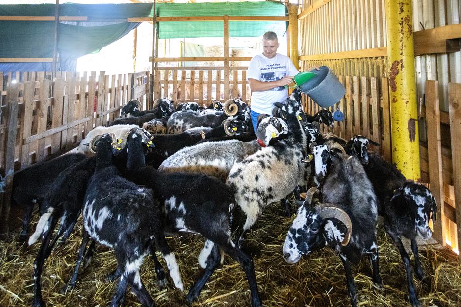 Pazin: Izbor za najbolji OPG - OPG Ivan Šolić