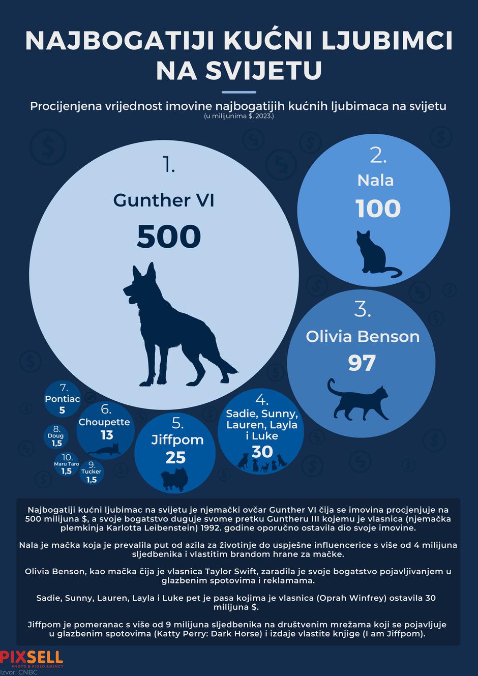 Infografika: Najbogatiji ku?ni ljubimci na svijetu