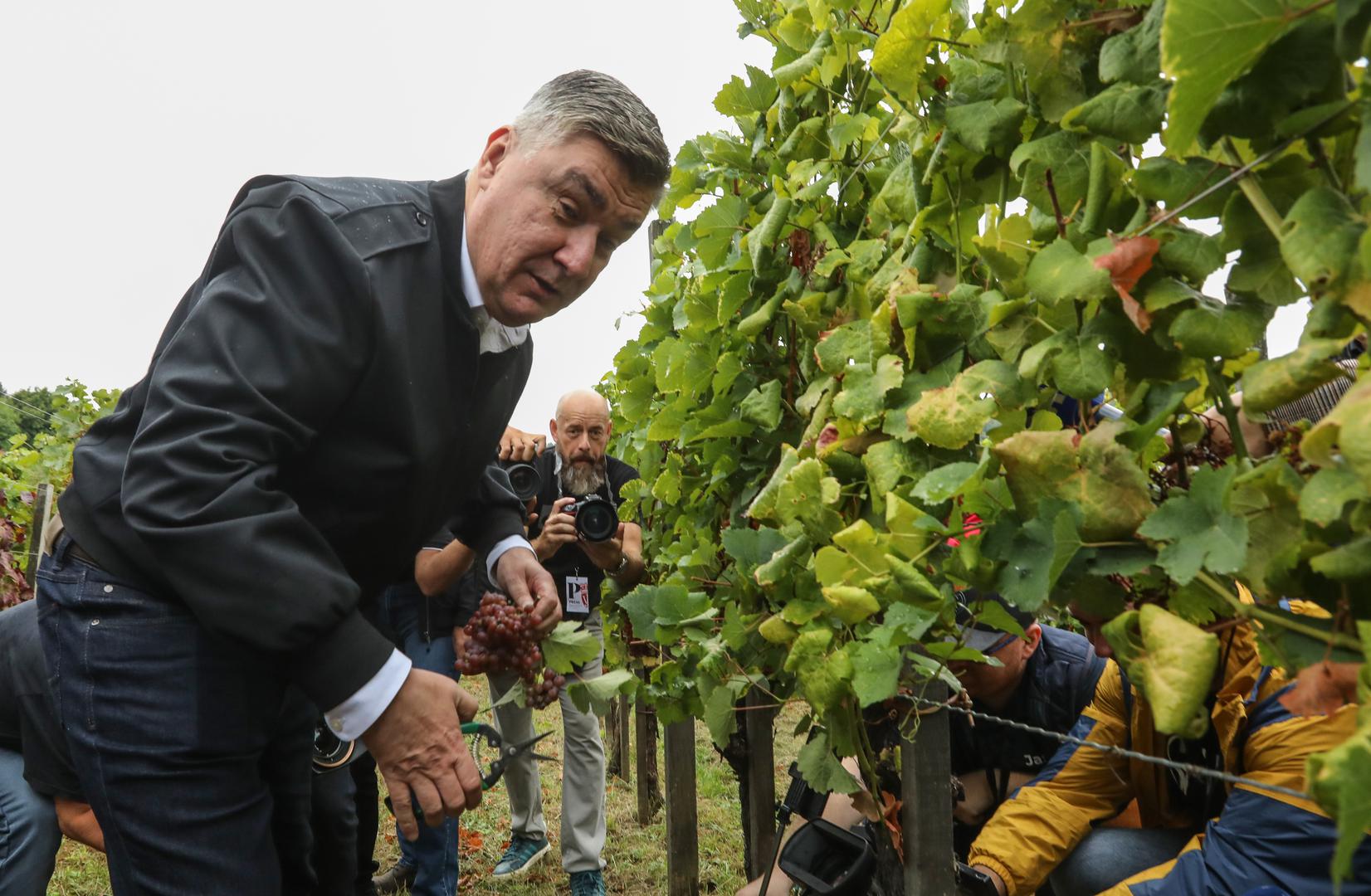 Vinarija Jagunić obiteljsko je imanje smješteno u prestižnoj vinskoj regiji Plešivica. Od 1920-ih godina, obitelj Jagunić posvećena je stvaranju izvanrednih vina. Danas vinarijom upravljaju braća Dominik i Martin koji su četvrta generacija obitelji Jagunić. Njihova obitelj predano njeguje ne samo svoja vina, već i bogatu tradiciju lokalne gastronomije i regionalnih specijaliteta.