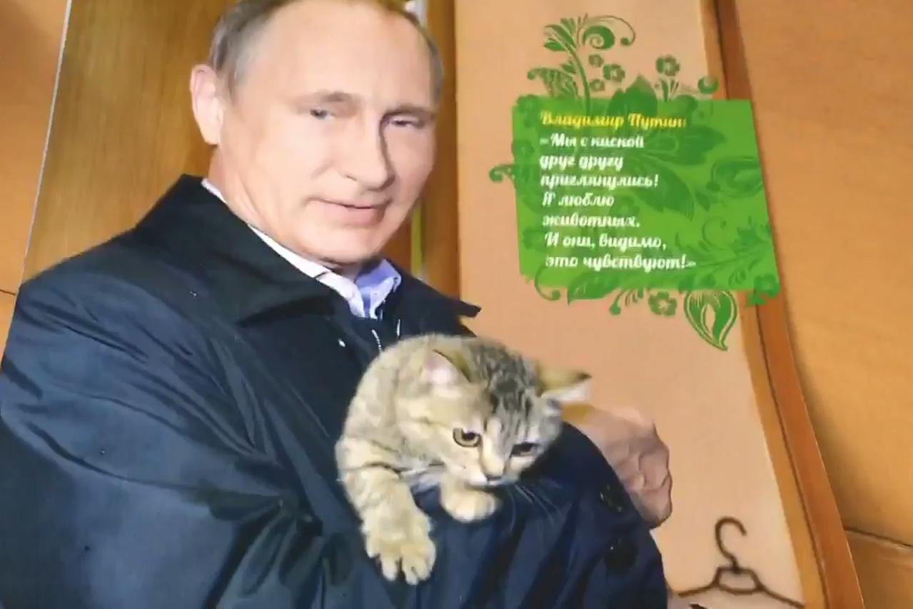 vladimir putin
