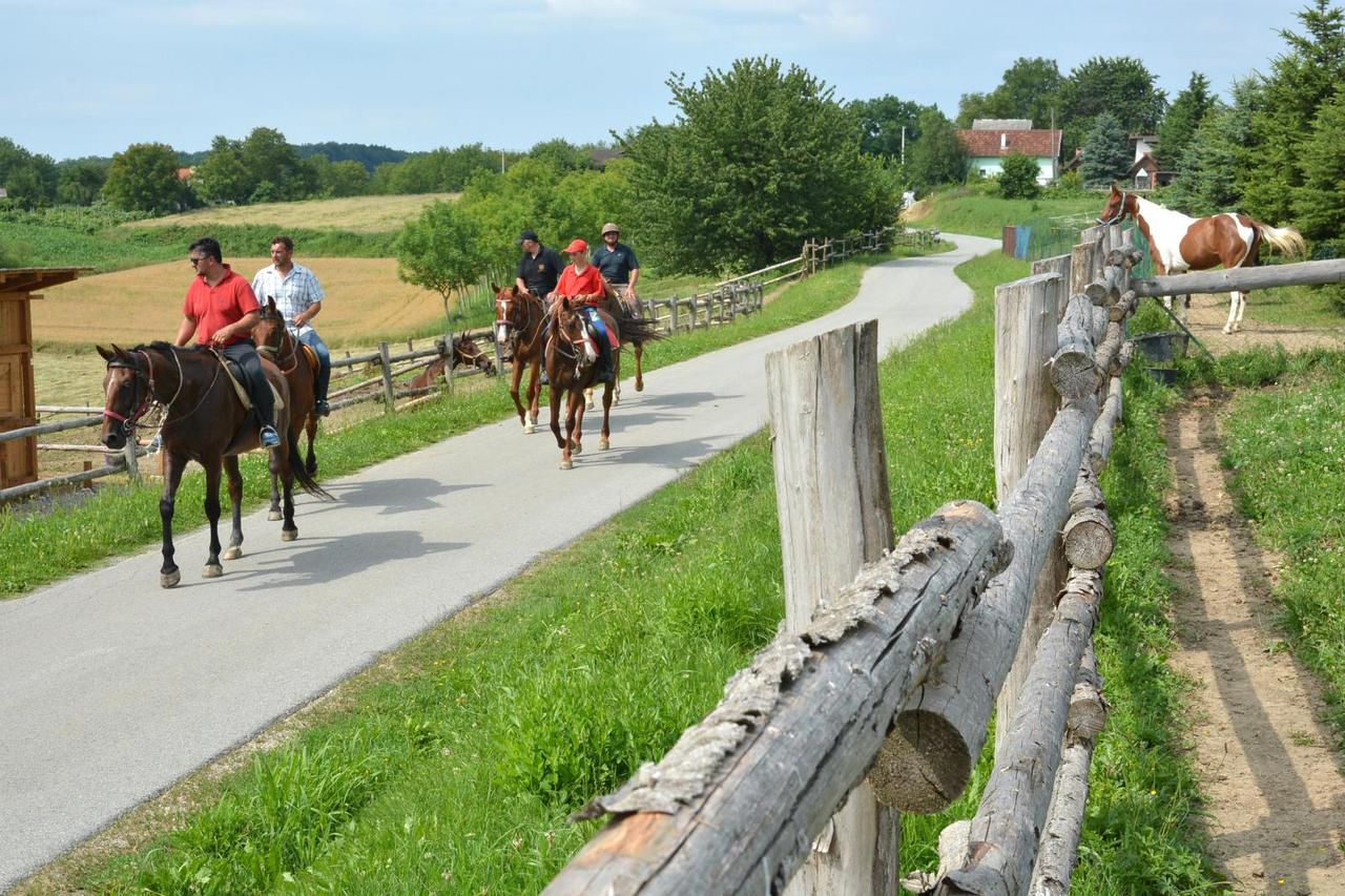 Konjički turizam