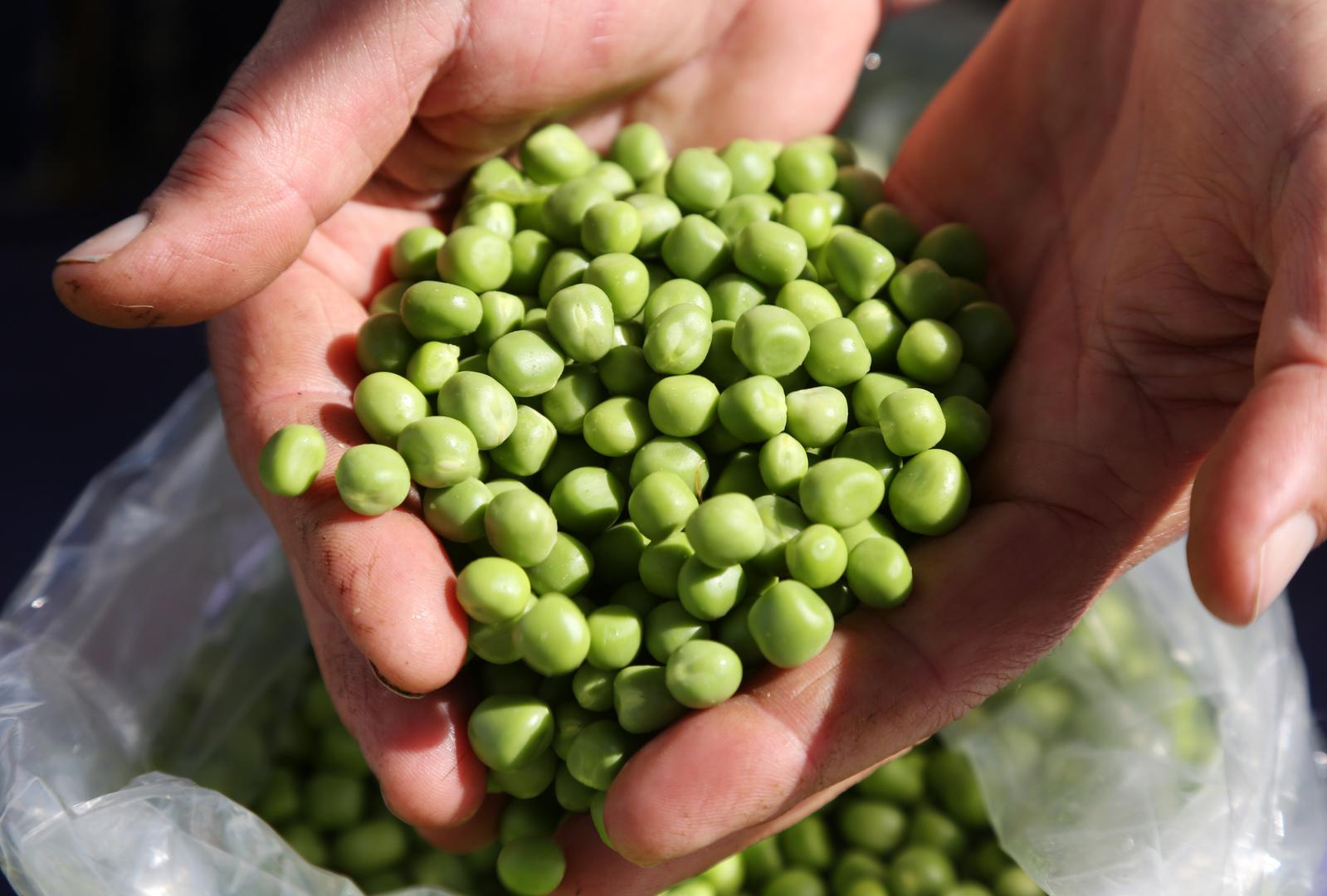 Povrće bogato škrobom – Vrlo je važno imati prehranu bogatu povrćem, no morate znati da nije svejedno koje povrće jedete. Ako se vaša prehrana bazira samo na povrću bogatom škrobom, poput krumpira, batata, kukuruza ili graška, razina šećera u krvi će brzo porasti.