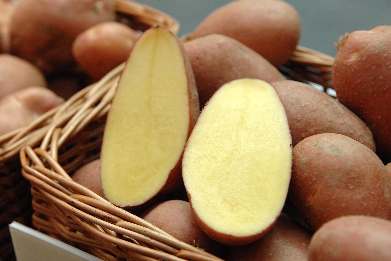 krumpiri
