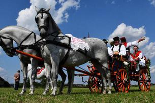 Ovoga se vikenda uživa uz nastupe folkloraša, zvuke tamburice i svatovske zaprege