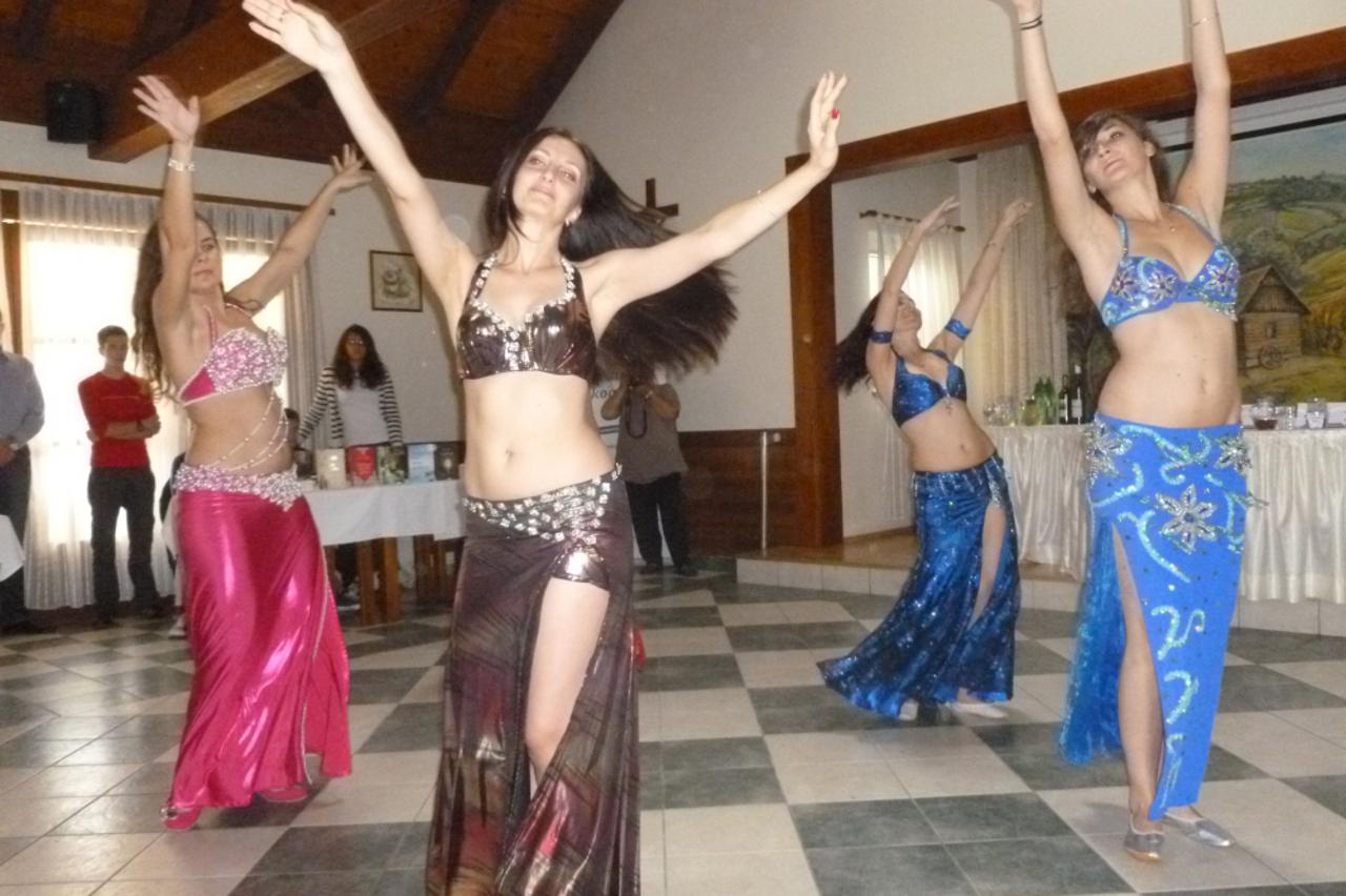 Piknik hrvatsko-turskog prijateljstva (1)