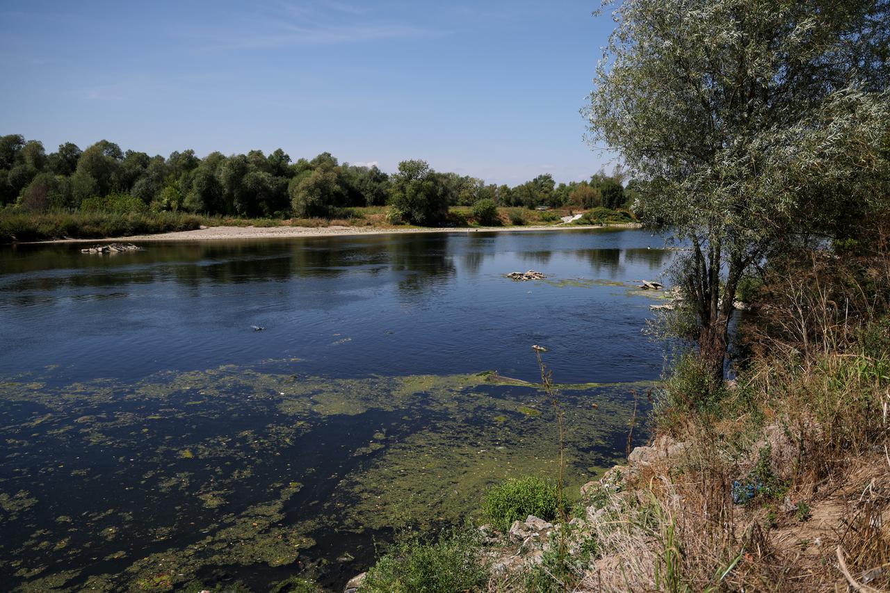 Zagreb: Masovni pomor ribe u rijeci Savi, djelatnici Hrvatskih voda uzeli uzorke 