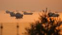 New incident: Iran hit ships in the Hormuz Strait