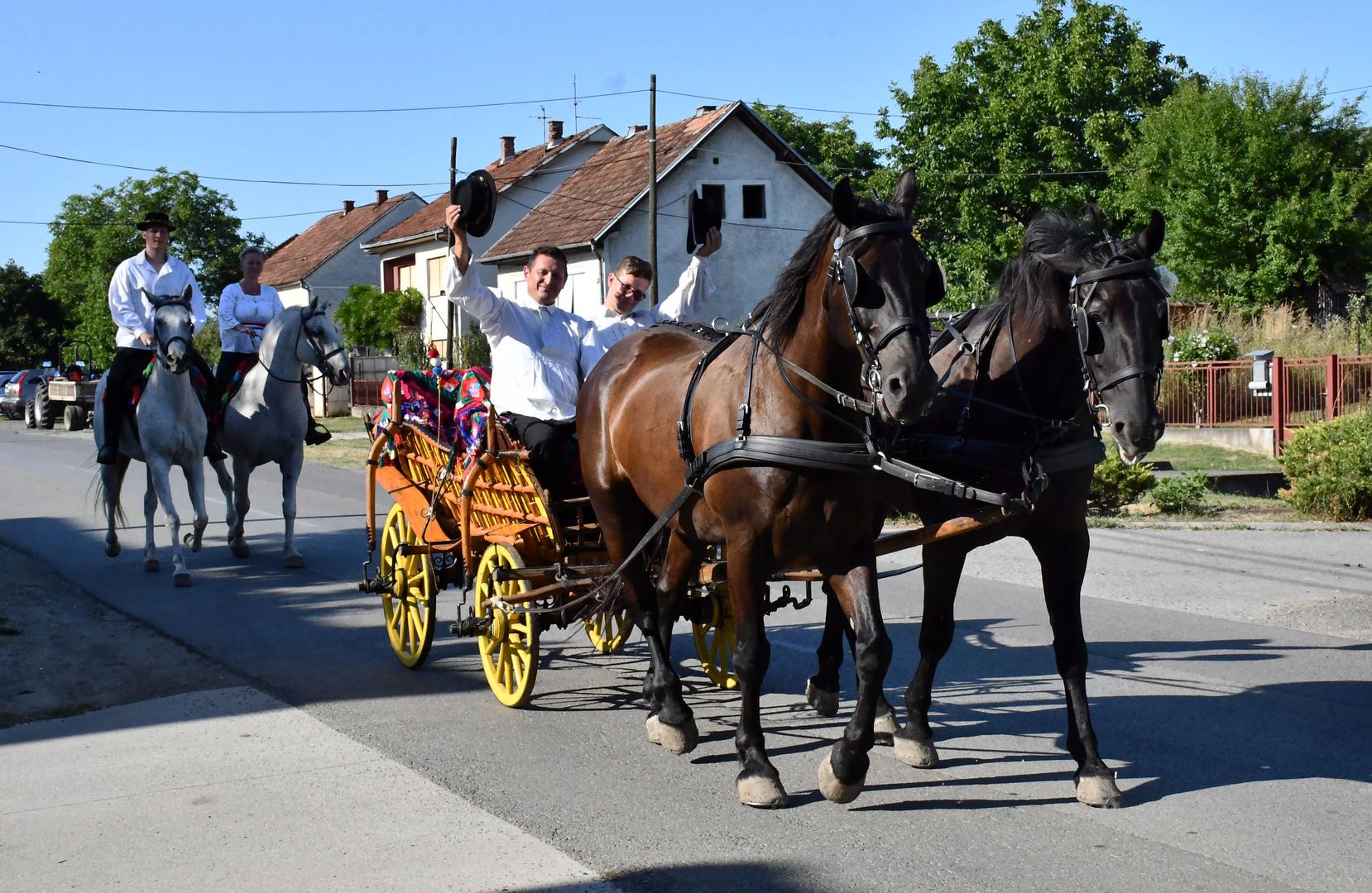 POLJOPRIVREDNA PRIČA Dražena Madžarevića, njegove
Marije i sinova Luke i Matije isključivo je okrenuta čuvanju
običaja. Poticaje za uzgoj konja ne dobivaju
