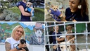 Dumovec Shelter Celebrates 25 Years of Saving Lives, Dog Franz Even Became a Police Officer