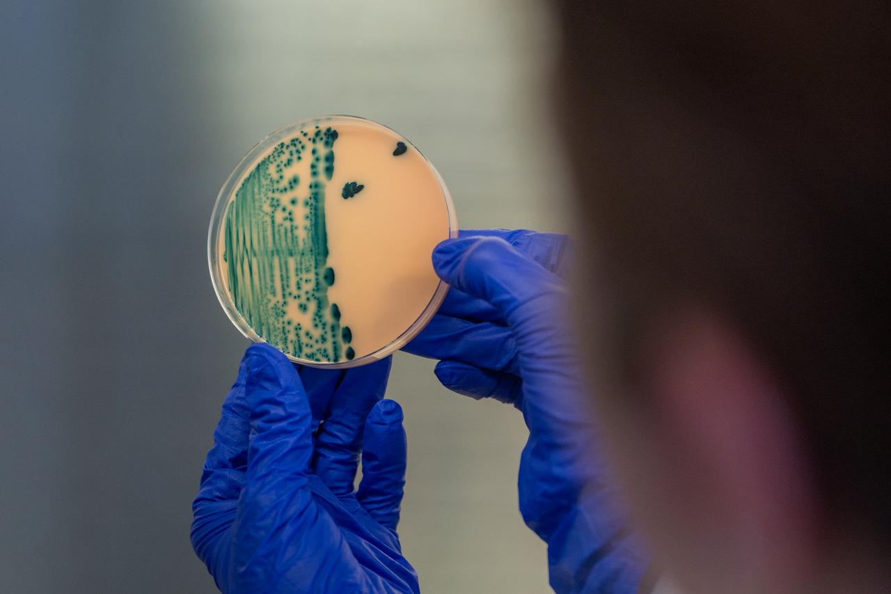 Sampling and diagnostics