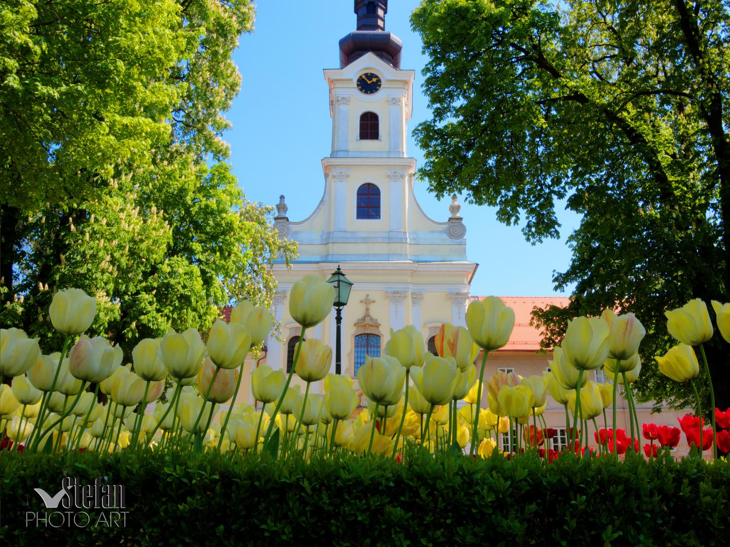 Katedrala-Bjelovar
