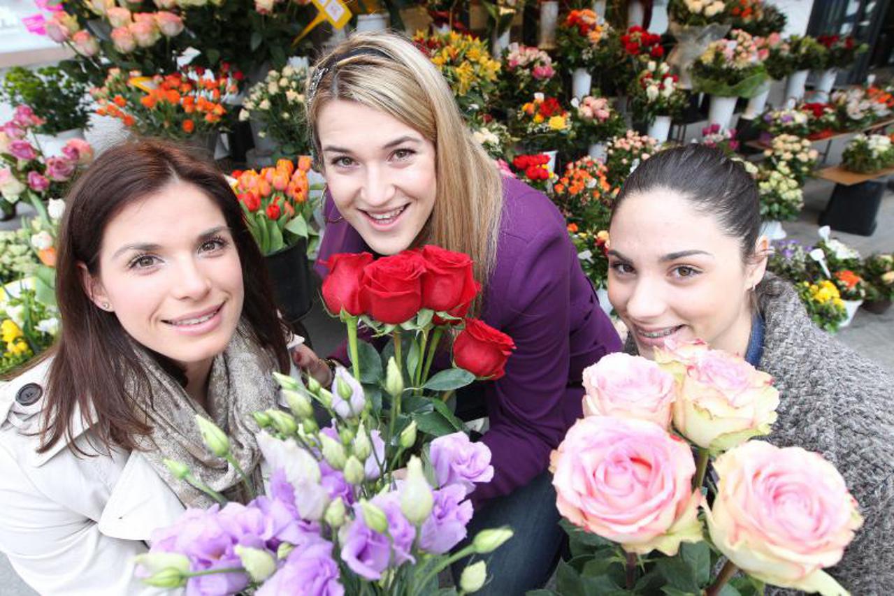 Košarkašice Novi Zagreb (1)