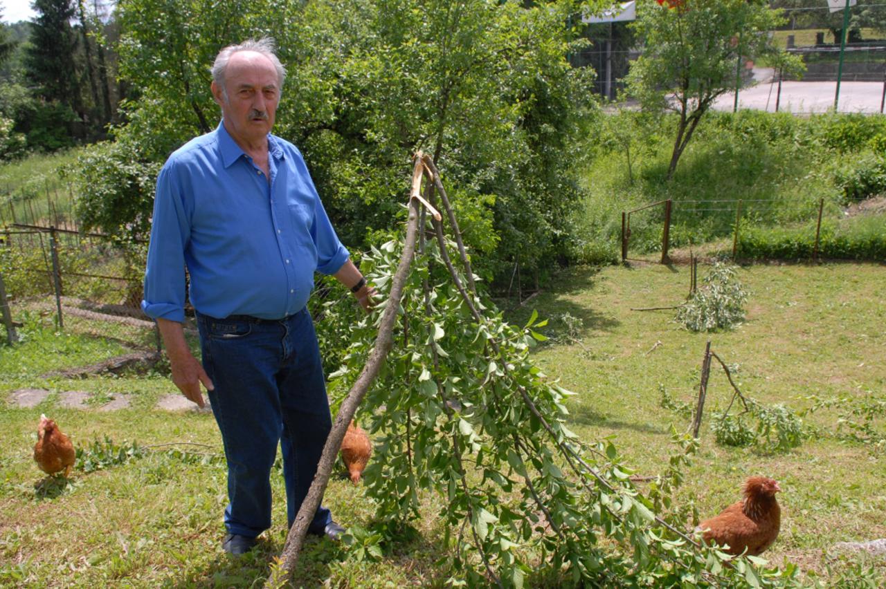 voćnjak