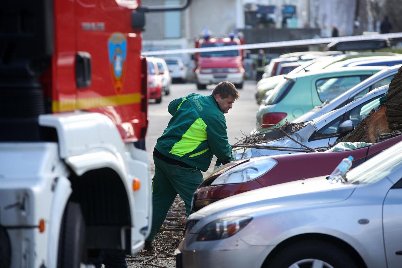 Zagreb: Vjetar srušio stablo jablana, oštećeno više automobila