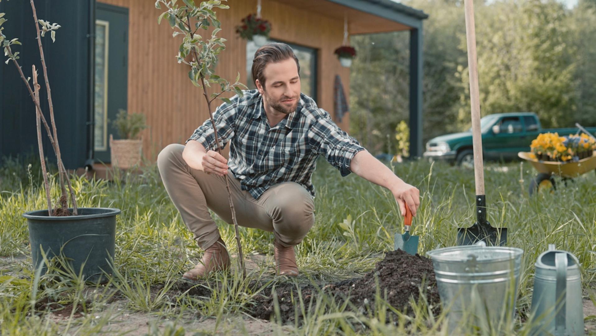 Veljača je idealno vrijeme za sadnju voćaka jer su biljke još u mirovanju, a tlo, ako nije smrznuto i previše mokro, omogućuje kvalitetan rad. Dobro posađena voćka u startu razvije jači korijen i lakše podnese prve sušne valove u proljeće i ljeto. 