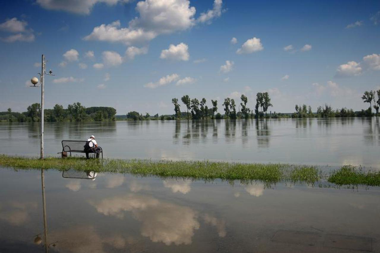 vukovar,poplava,dunav
