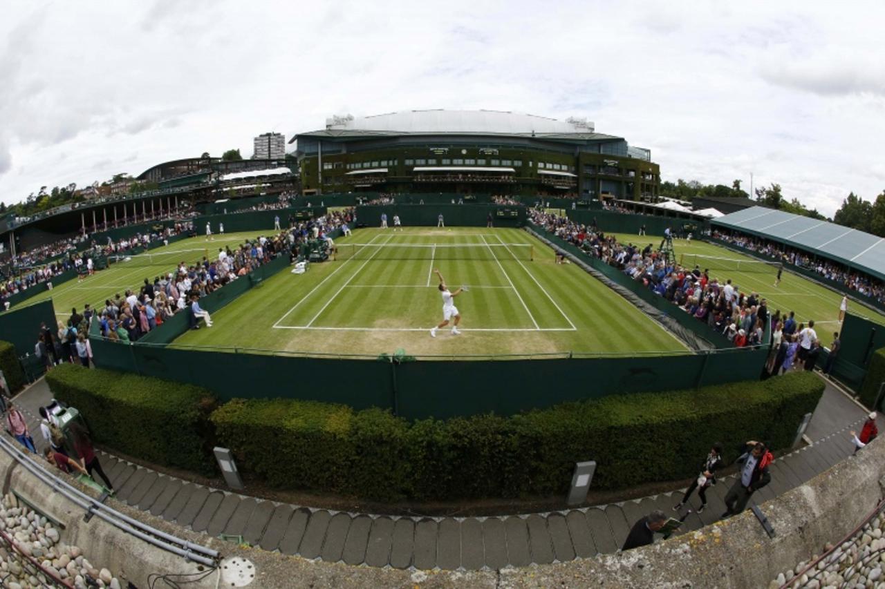 Wimbledon, tenis