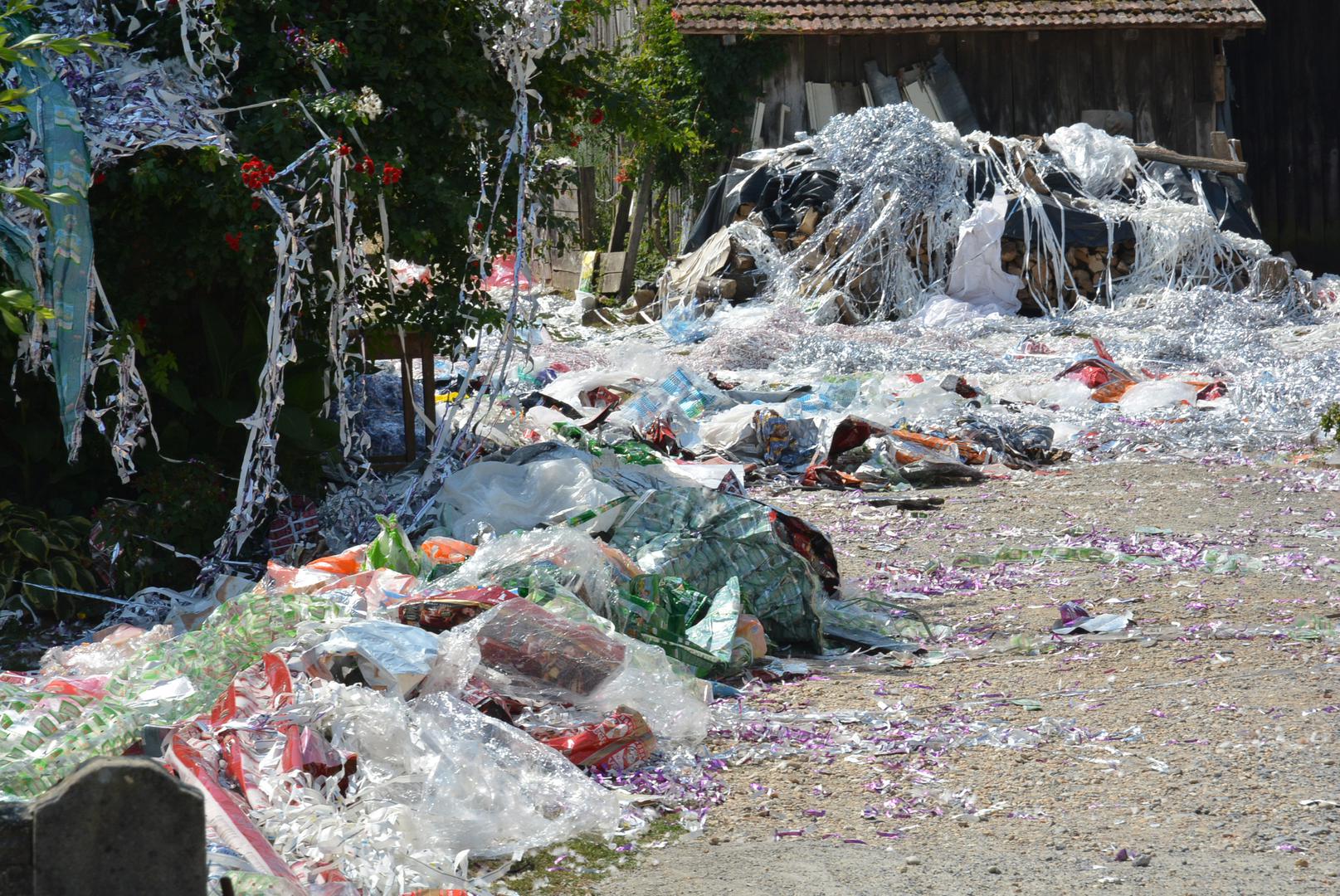 19.08.2017., Pavlovac - Sipanje se s godinama prometnulo u neslavan bilogorski obicaj. Na podrucju Bjelovarsko-bilogorske zupanije njeguje se jedinstven obicaj "slavlja" dolaska kuci majke i novorodjenceta iz bolnice, poznat pod nazivom sipanje. Rodbina, prijatelji i susjedi iskazuju veselje zasipavanjem dvorista perjem i papirima, a neuobicajeni nestasluci postaju ocekivani dio slavlja. Ovo je obicaj koji nema pisana pravila pa on ovisi o "kreativnosti" sipaca. Moze se zateci da se pale gume, sipaju limeni cepovi boca, ostavljaju olupine automobila ili slican otpad. Tako je, umjesto da je zasuta cvijecem, novopecena majka zasuta smecem. Neopisiva je to muka za domacine koji danima moraju cistiti dvoriste. Nekada su se prema narodnim obicajima sipali pljeva i perje. Pljeva koja je cuvala zrno zita, znacila je da se zena ocistila nakon poroda, a perje kako bi novorodjence imalo lagodan zivot poput ptice. "nPhoto: Damir Spehar/PIXSELL                                  