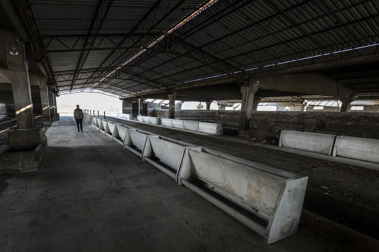 Soljani: Uzgajivač svinja Pero Ljubičić u praznom svinjcu