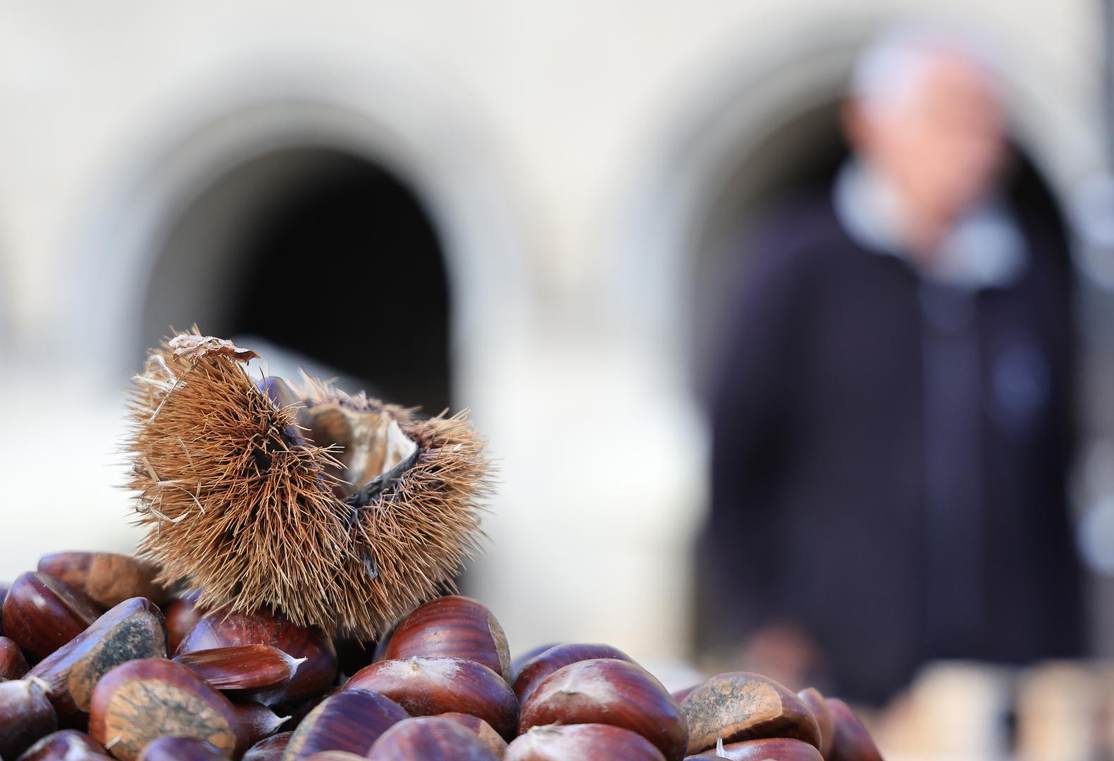 Istarski marun je specijalitet Istre i Kvarnera, poznat po većim i sočnijim plodovima, a često se koristi u slasticama, marmeladama i pečenju. Njegov karakterističan okus i meka struktura čine ga omiljenim u kulinarstvu.