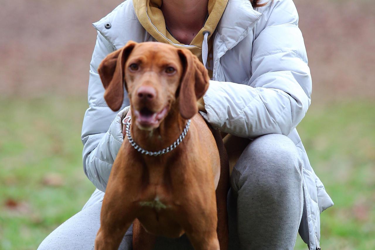 24.11.2016., Zagreb - Jana Busic sa psom Zuzi cesto sece parkom Maksimir. DKS_56147315 Photo: Jurica Galoic/PIXSELL