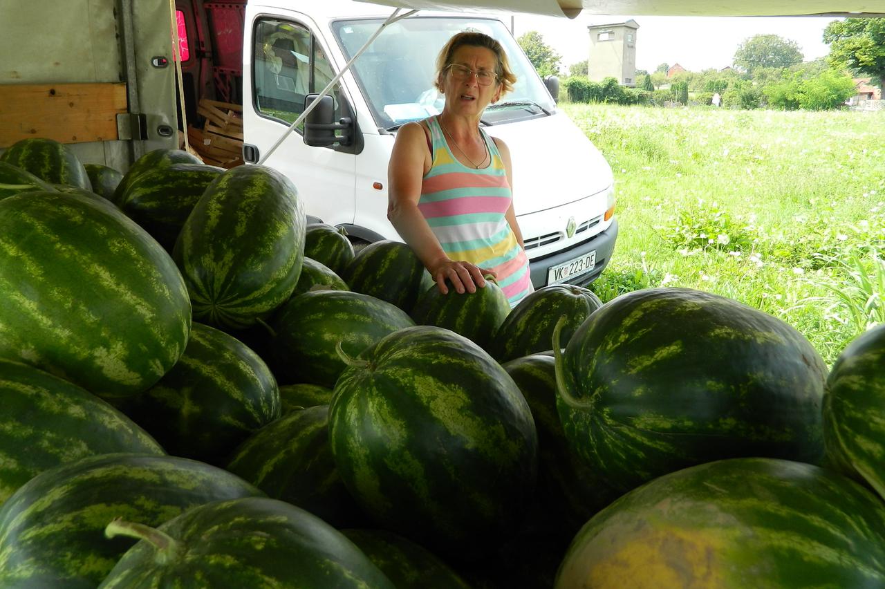 lubenice,Gordana Mihaljević