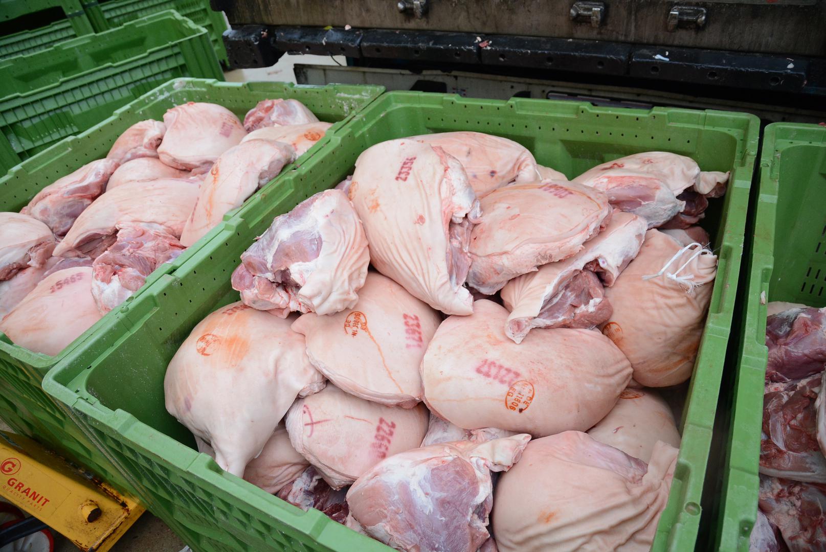 U jednoj od najsuvremenijih i najboljih dalmatinskih pršutana, u Pršutani Puntica u vlasništvu Slavka Ćoze ovih dana imaju pune ruke posla jer u tijeku je proces pripreme pršuta za sušenje.