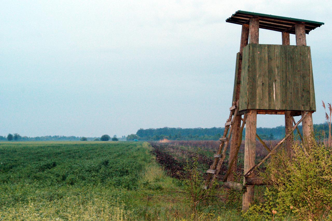 Lovačka osmatračnica