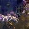 Avatar tryg@lle tr@de guild