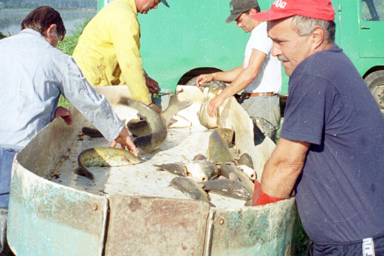 riba7_zdb_kar_070403